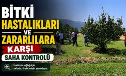 BİTKİ HASTALIKLARI VE ZARARLILARA KARŞI SAHA KONTROLÜ