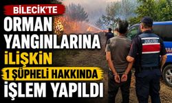 BİLECİK'TE ORMAN YANGINLARINA İLİŞKİN 1 ŞÜPHELİ HAKKINDA İŞLEM YAPILDI
