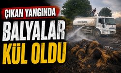 BİLECİK’TE ÇIKAN YANGINDA BALYALAR KÜL OLDU