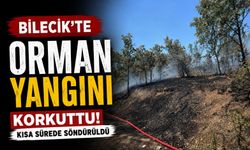 BİLECİK'TE ORMAN YANGINI KORKUTTU