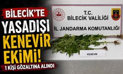 YASADIŞI KENEVİR EKİMİ ORTAYA ÇIKARILDI