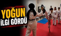 YAZ SPOR OKULLARINDA TEKVANDOYA YOĞUN İLGİ