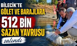 GÖLET VE BARAJLARA 512 BİN SAZAN YAVRUSU SALINDI