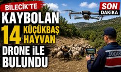 KAYBOLAN 14 KÜÇÜKBAŞ HAYVAN DRONE İLE BULUNDU