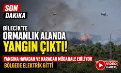 BİLECİK'TE ORMANLIK ALANDA YANGIN BAŞLADI
