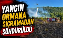 TARLA YANGINI ORMANA SIÇRAMADAN SÖNDÜRÜLDÜ