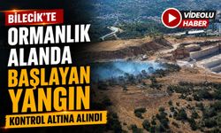 ORMANLIK ALANDA BAŞLAYAN YANGIN KONTROL ALTINA ALINDI