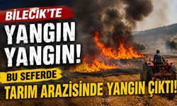 BOZÜYÜK'TE TARIM ARAZİSİNDE YANGIN ÇIKTI