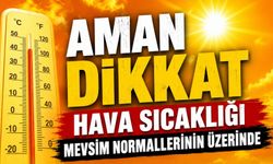 HAVA SICAKLIĞI MEVSİM NORMALLERİNİN ÜZERİNDE
