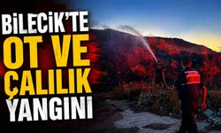 BİLECİK’TE OT VE ÇALILIK YANGINI