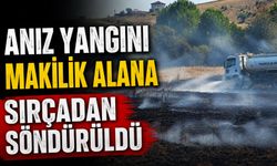 ANIZ YANGINI MAKİLİK ALANA SIRÇADAN SÖNDÜRÜLDÜ