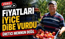 MEYVE SUYU FABRİKALARI ÜRETİCİDEN ALDIKLARI ÜRÜNÜN FİYATLARI İYİCE DİBE VURDU