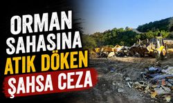ORMAN SAHASINA ATIK DÖKEN ŞAHSA CEZA