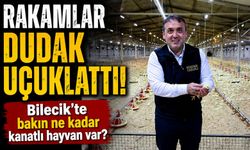 11,5 MİLYON KANATLI HAYVANA EV SAHİPLİĞİ YAPIYOR