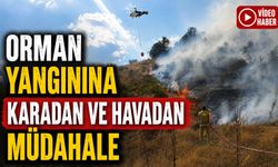BOZÜYÜK’TE ORMAN YANGINI