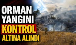 ORMAN YANGINI KONTROL ALTINA ALINDI