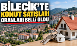 BİLECİK'TE KONUT SATIŞLARI YÜZDE 14,3 ORANINDA AZALDI