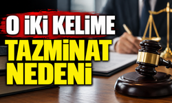 O İKİ KELİME TAZMİNAT NEDENİ