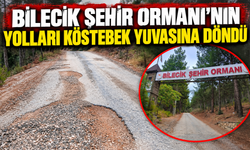 ŞEHİR ORMANI'NIN YOLLARI KÖSTEBEK YUVASINA DÖNDÜ