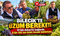 BİLECİK'TE ÜZÜM BEREKETİ