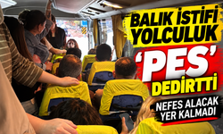 BALIK İSTİFİ YOLCULUK 'PES' DEDİRTTİ