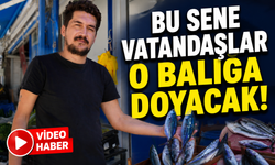 BU SENE VATANDAŞLAR O BALIĞA DOYACAK