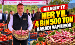 BİLECİK'TE HER YIL 4 BİN 500 TON TAZE BARBUNYA HASADI YAPILIYOR