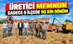 BİLECİK'TE 90 BİN DÖNÜMDE AYÇİÇEĞİ HASADI