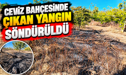 CEVİZ BAHÇESİNDE ÇIKAN YANGIN SÖNDÜRÜLDÜ