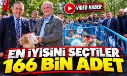 166 BİN KÜÇÜKBAŞ İÇİN KOÇ KATIM DÖNEMİ BAŞLADI