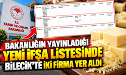 BAKANLIĞI YAYINLADIĞI YENİ İFŞA LİSTESİNDE BİLECİK'TE İKİ FİRMA YER ALDI
