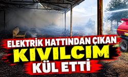 ELEKTRİK HATTINDAN ÇIKAN KIVILCIM BAHÇEYİ ALEVLERE TESLİM ETTİ