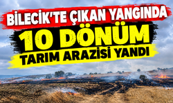 BİLECİK'TE 10 DÖNÜM TARIM ARAZİSİ YANDI