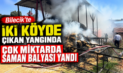 BİLECİK'TE İKİ KÖYDE ÇIKAN YANGINDA ÇOK MİKTARDA SAMAN BALYASI YANDI
