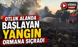 OTLUK ALANDA BAŞLAYAN YANGIN ORMANA SIÇRADI