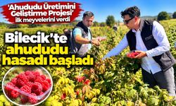 AHUDUDU HASADI BAŞLADI