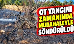 KÖY YAKININDA OT YANGINI