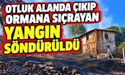 OTLUK ALANDA ÇIKIP ORMANA SIÇRAYAN YANGIN SÖNDÜRÜLDÜ