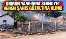 ORMAN YANGININA SEBEBİYET VEREN ŞAHIS GÖZALTINA ALINDI