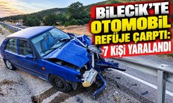 OTOMOBİL REFÜJE ÇARPTI: 7 KİŞİ YARALANDI