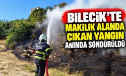 MAKİLİK ALANDA ÇIKAN YANGIN ANINDA SÖNDÜRÜLDÜ