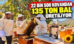 22 BİN 500 KOVANDAN 135 TON BAL ÜRETİLİYOR