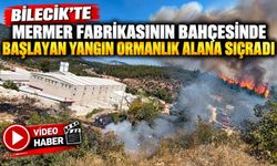 MERMER FABRİKASININ BAHÇESİNDE BAŞLAYIP ORMANLIK ALANA SIÇRAYAN YANGIN BÜYÜMEDEN SÖNDÜRÜLDÜ