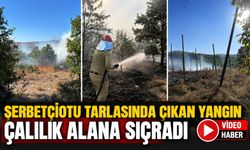 ŞERBETÇİOTU TARLASINDA ÇIKAN YANGIN ÇALILIK ALANA SIÇRADI