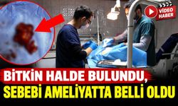 MEME TÜMÖRÜ OPERASYONU GEÇİREN KÖPEK SAĞLIĞINA KAVUŞTU