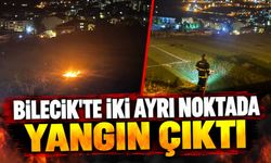 BİLECİK'TE İKİ AYRI NOKTADA YANGIN ÇIKTI