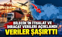 BİLECİK'İN İHRACATI AZALDI, İTHALATI ARTTI
