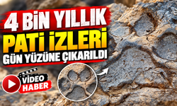 4 BİN YILLIK PATİ İZLERİ GÜN YÜZÜNE ÇIKARILDI