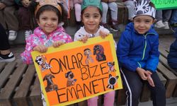ÖĞRENCİLER BARINAK ZİYARETİ YAPARAK HAYVANLARI SEVDİ VE MAMA VERDİ