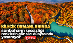 BİLECİK ORMANLARINDA SONBAHARIN SESSİZLİĞİ RENKLERİN GÖZ ALICI DÜNYASINDA YAŞANIYOR